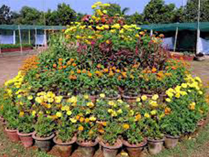 Four-day flower show to begin in Kadri Park from January 26
